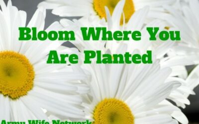 Bloom Where You Are Planted