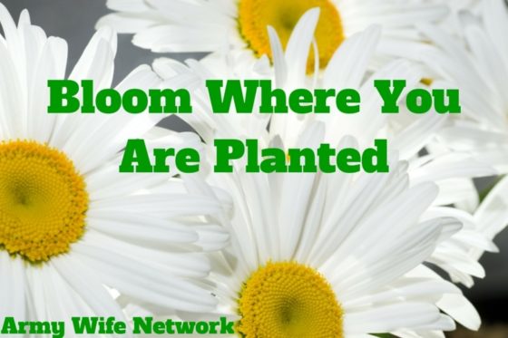 Bloom Where You Are Planted