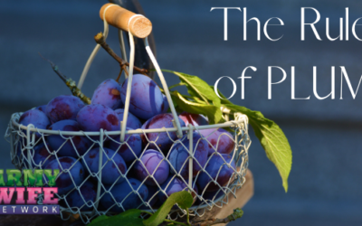 The Rule of PLUM