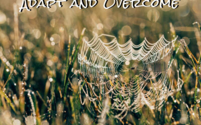 Adapt and Overcome