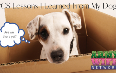 PCS Lessons I Learned From My Dogs