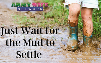 Just Wait for the Mud to Settle