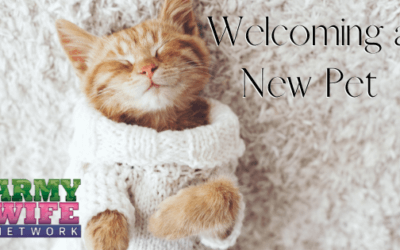 Welcoming a New Pet