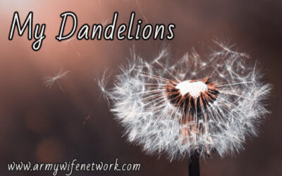 My Dandelions