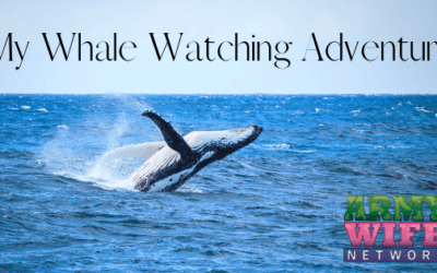 My Whale Watching Adventure