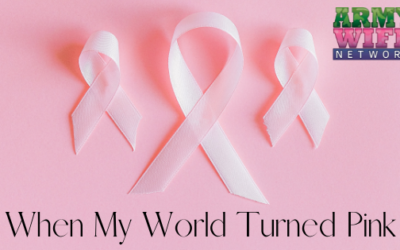 When My World Turned Pink
