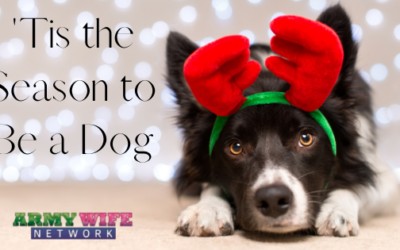 ‘Tis the Season to be a Dog