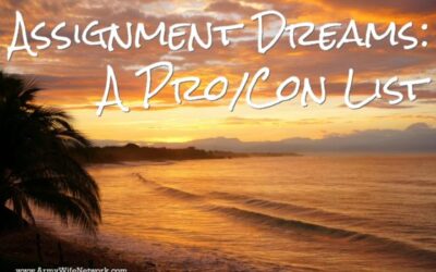 Assignment Dream Sheet: A Pro/Con List