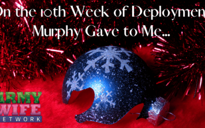 On the 10th Week of Deployment, Murphy Gave to Me…