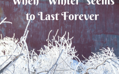 When “Winter” Seems to Last Forever