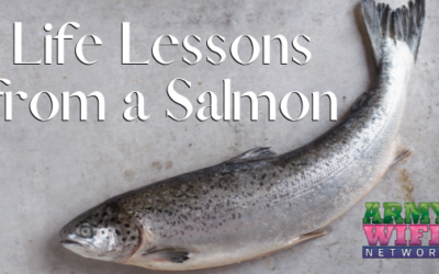 Life Lessons from a Salmon