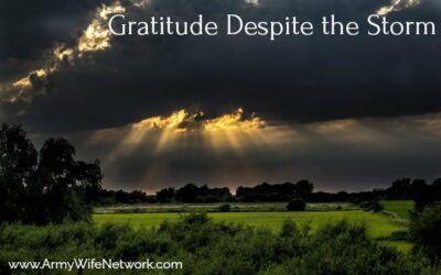 Gratitude Despite the Storm