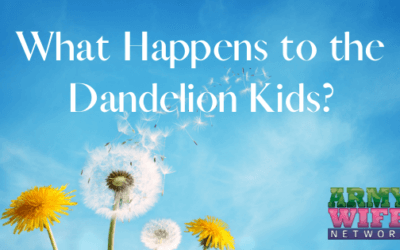 What Happens to the Dandelion Kids?