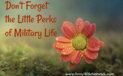 The Little Perks of Military Life