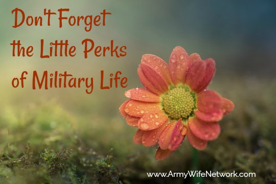 perks of military life