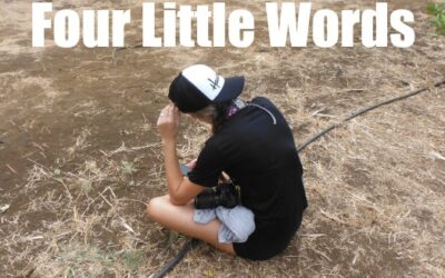 Four Little Words