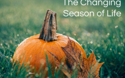 The Changing Season of Life