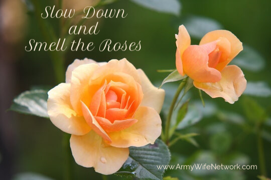 stop and smell the roses