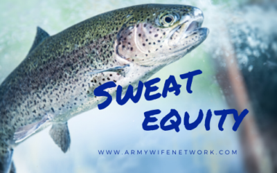 Sweat Equity