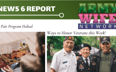 News 6 Mashup: Nov. 9, 2020