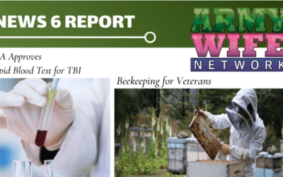 News 6 Mashup: Feb. 22, 2021