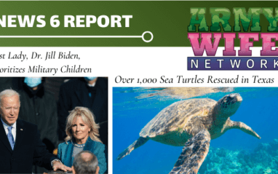 News 6 Mashup: March 1, 2021