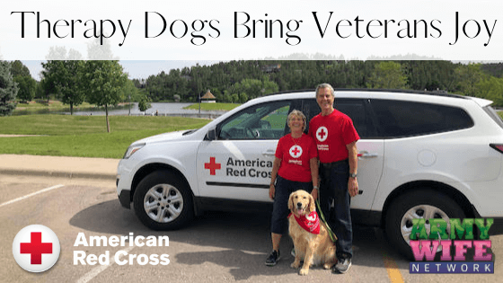Therapy-Dogs-Bring-Veterans-Joy